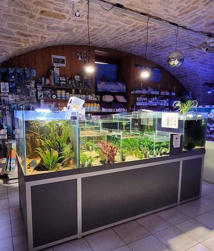 Fabrication aquariums Beaufort-Orbagna