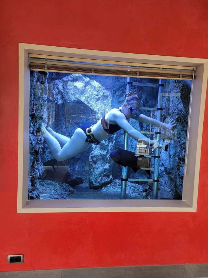 Maintenance d’aquariums Beaufort-Orbagna