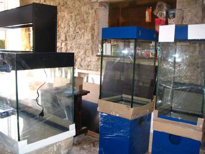 Vente de poissons d'eau douce Beaufort-Orbagna