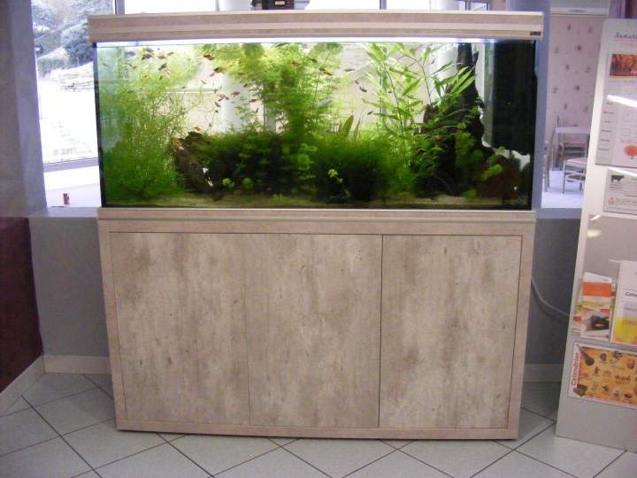Fabrication aquariums Beaufort-Orbagna