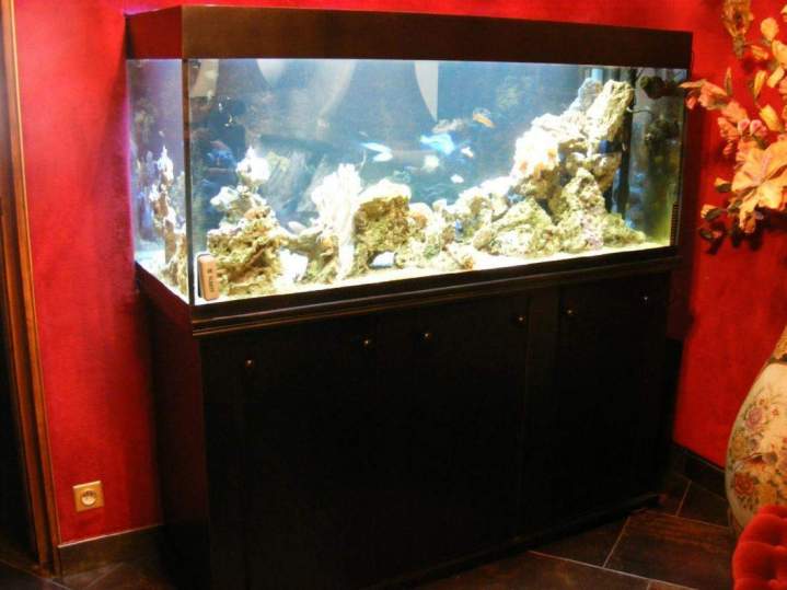  Fabrication et entretien d'aquarium Beaufort-Orbagna