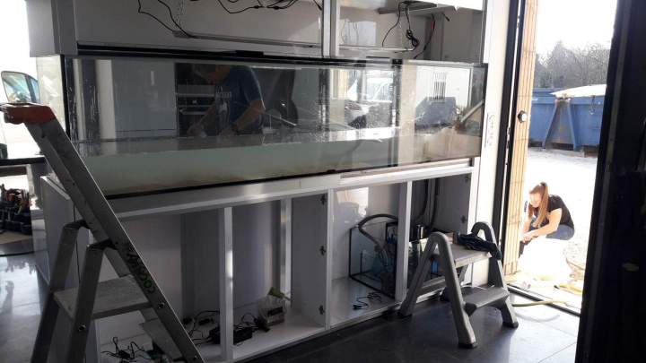 Vente de poissons d'eau douce Beaufort-Orbagna