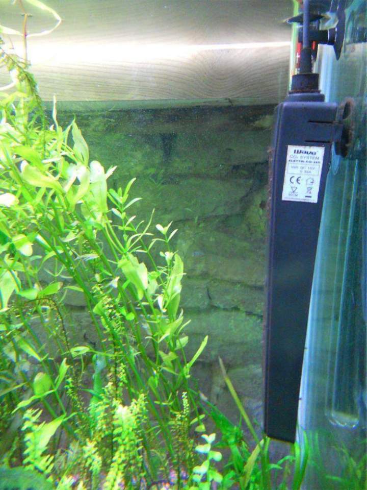 Fabrication aquariums Beaufort-Orbagna