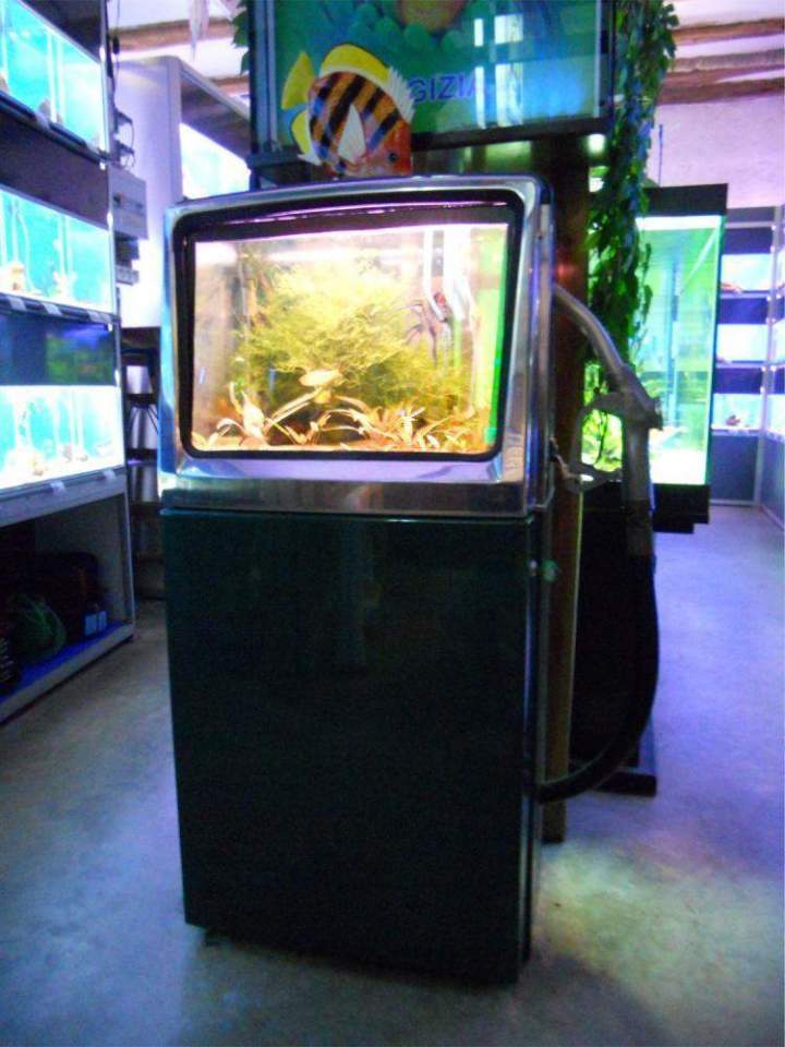 Vente de poissons d'eau douce Beaufort-Orbagna