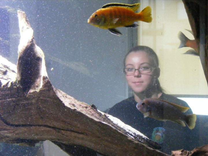 Vente de poissons d'eau douce Beaufort-Orbagna