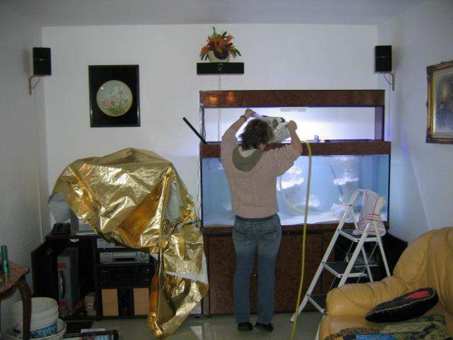 Fabrication aquariums Beaufort-Orbagna