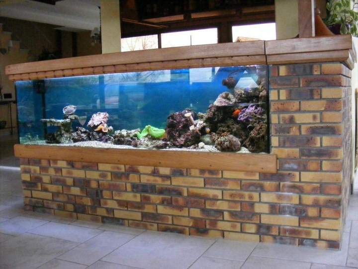 Vente de poissons d'eau de mer Beaufort-Orbagna