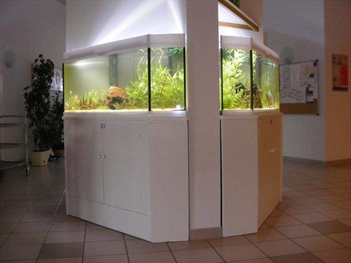 Vente de poissons d'eau de mer Beaufort-Orbagna