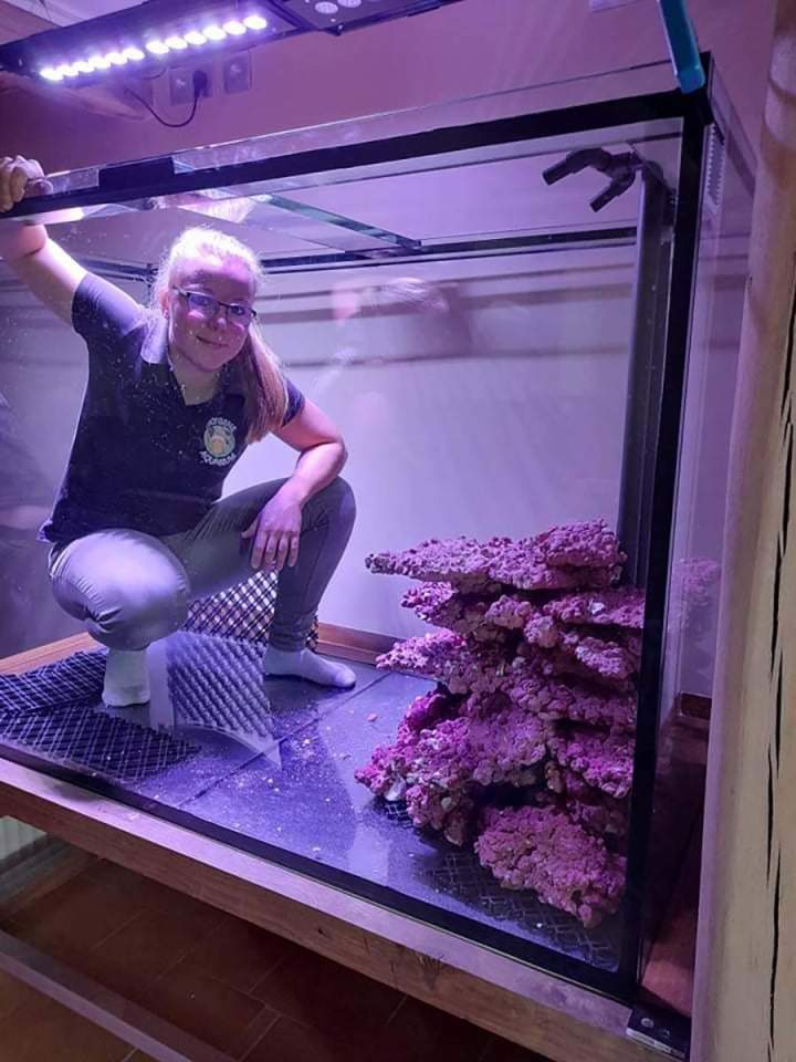 Installation d’aquariums Beaufort-Orbagna