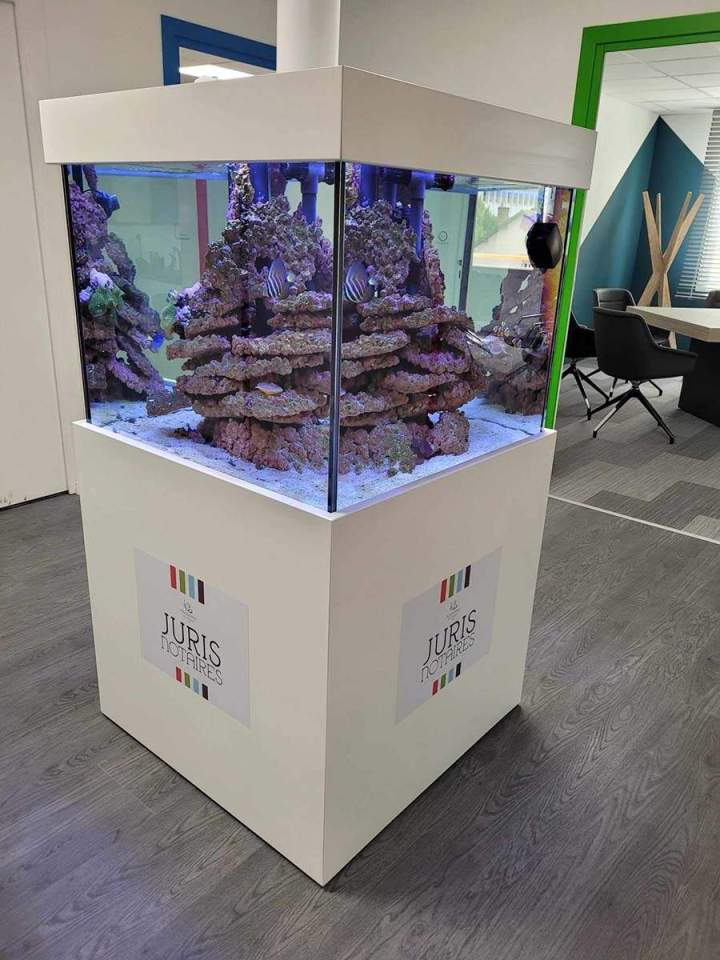 Vente de poissons d'eau de mer Beaufort-Orbagna